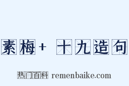 素梅+十九造句是什么意思的图片